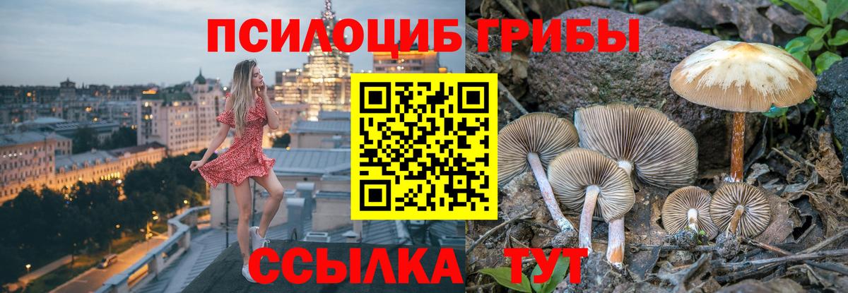 Галлюциногенные грибы Cubensis  Вход с VPN  Реутов 