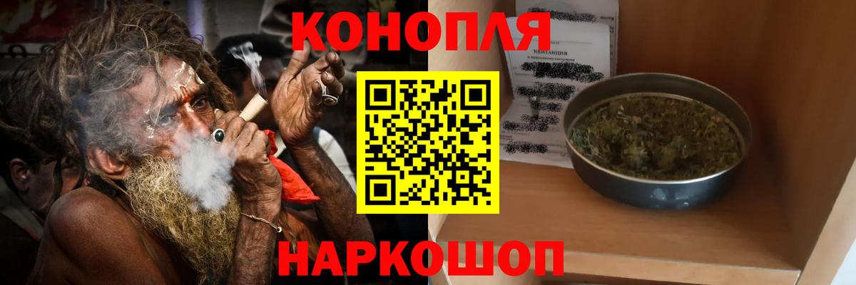 Каннабис ГИДРОПОН  Канабис OG Kush  Вход с VPN  Реутов 